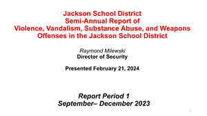 cover of Violence and Vandalism report